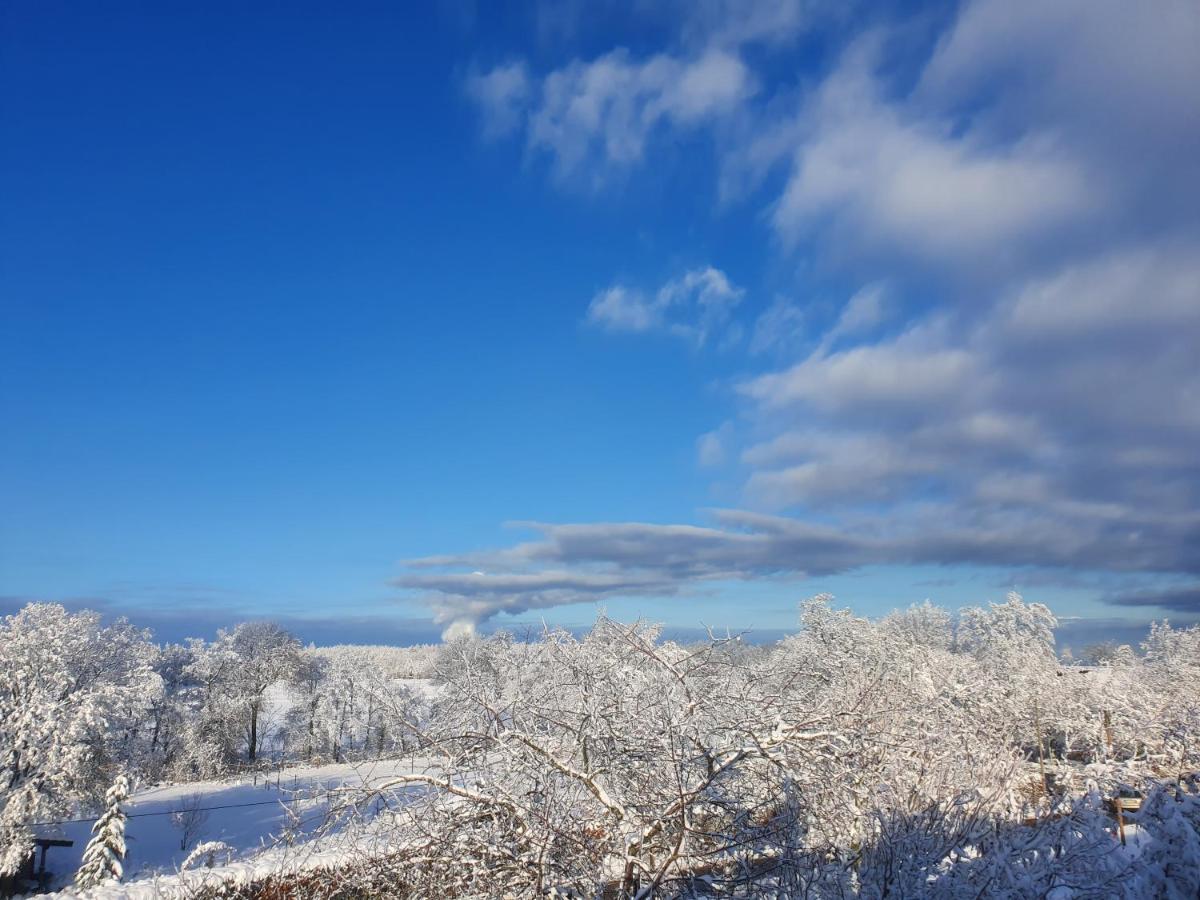 Energetischer Urlaub In Der Eifel Germeter Eksteriør bilde